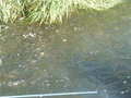 RA Camping 2007-08-24_17-32-10.jpg